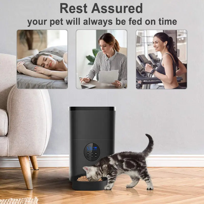 Wifi Pet Dog Automatic Pet Food Feeder Animal Feeders Pet Box